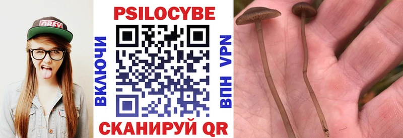 где найти   Сретенск  Галлюциногенные грибы ЛСД 